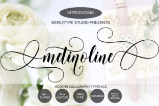 Metinoline Script: A Fresh Typeface for Creative Projects