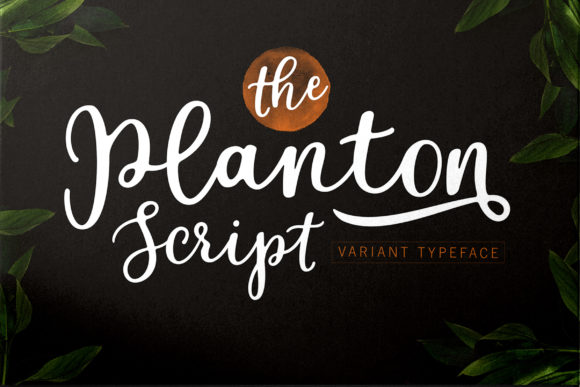 Planton Script: Elevating Visual Communication with Hand-Lettered Charm