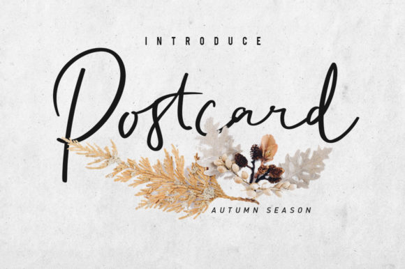 Postcart Script: Your Go-To for Elegant, Modern Design Projects